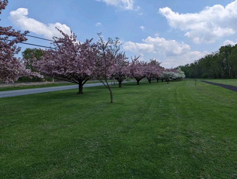 Come Home to Watsontown Watsontown Borough