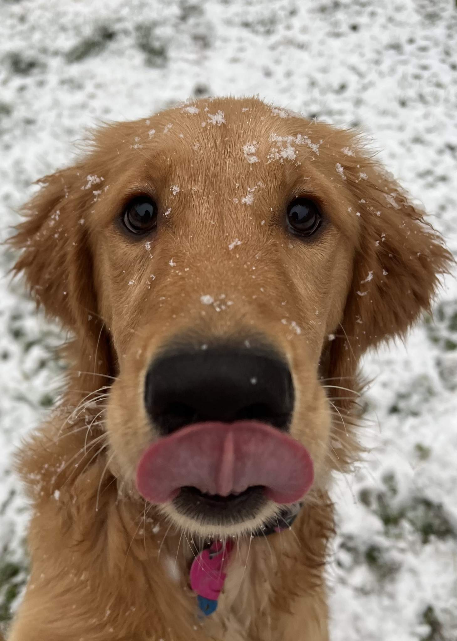 Come Home to Watsontown Watsontown Borough